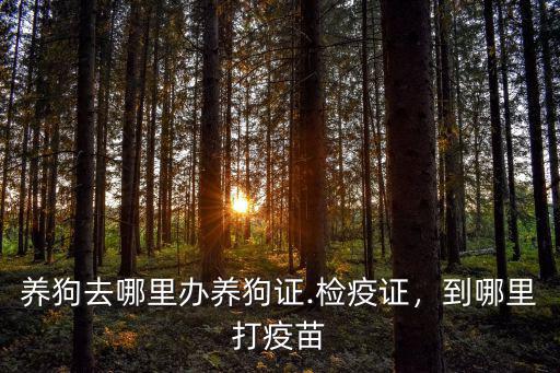 養狗去哪里辦養狗證.檢疫證，到哪里打疫苗