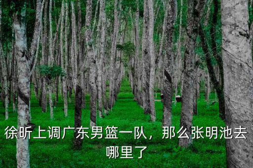 廣州男籃球員李明陽到哪里去了,男籃名宿李群去哪里了