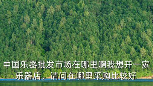 中國樂器批發市場在哪里啊我想開一家樂器店，請問在哪里采購比較好