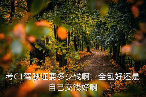煙臺c1駕駛證學費多少,考C1駕駛證要多少錢啊