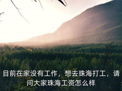 珠海無心文化公司怎么樣,珠海高新發展公司