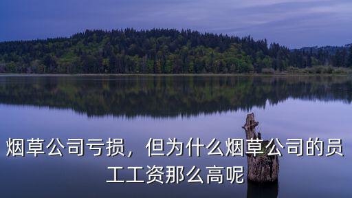 煙草公司虧損，但為什么煙草公司的員工工資那么高呢