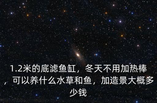 1.2米的底濾魚缸，冬天不用加熱棒，可以養什么水草和魚，加造景大概多少錢