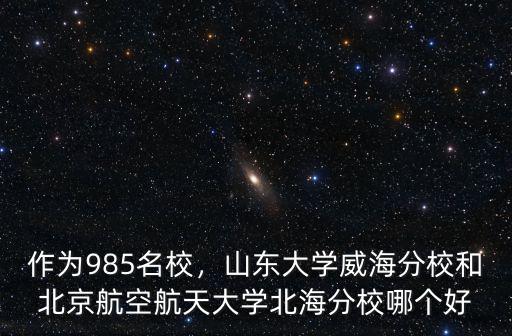 作為985名校，山東大學威海分校和北京航空航天大學北海分校哪個好