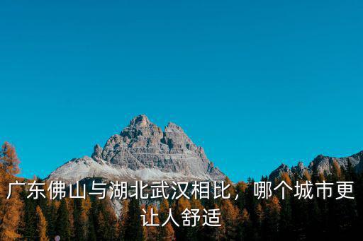 大石橋到佛山怎么避開(kāi)湖北,廣東佛山與湖北武漢相比