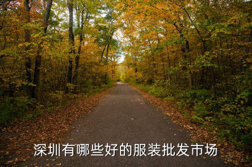 深圳有哪些好的服裝批發市場