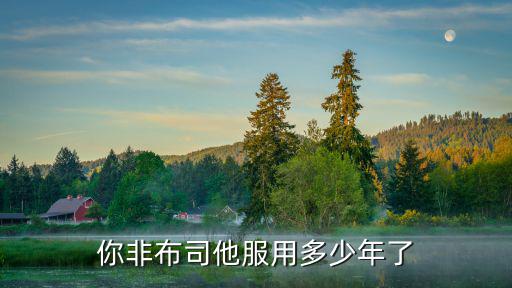 你非布司他服用多少年了