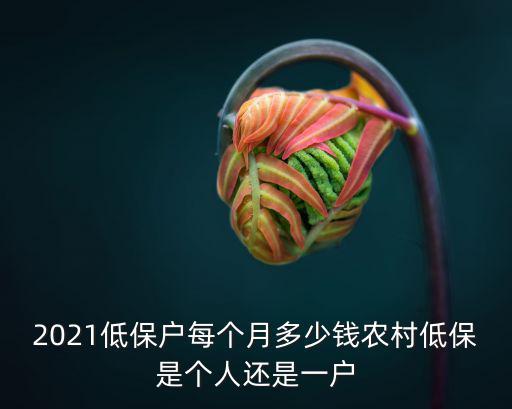 麗水低保戶每個月多少錢,低保戶每個月能拿多少錢
