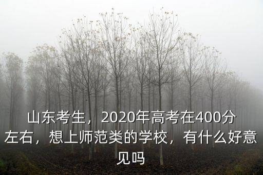 山東考生，2020年高考在400分左右，想上師范類的學(xué)校，有什么好意見(jiàn)嗎