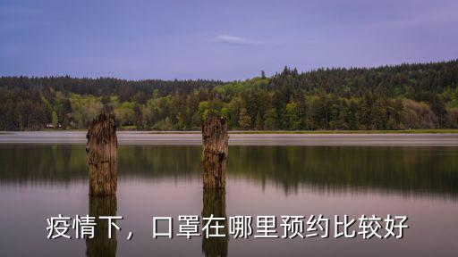 疫情下，口罩在哪里預約比較好