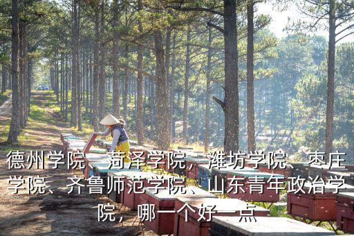 德州學院、菏澤學院，濰坊學院、棗莊學院、齊魯師范學院、山東青年政治學院，哪一個好一點