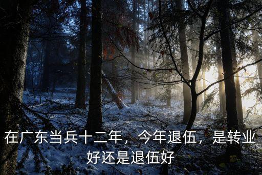在廣東當兵十二年，今年退伍，是轉業好還是退伍好
