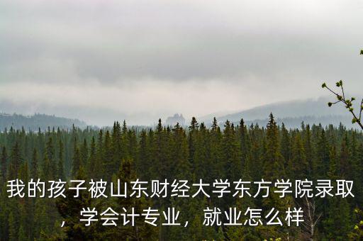 我的孩子被山東財經大學東方學院錄取，學會計專業，就業怎么樣