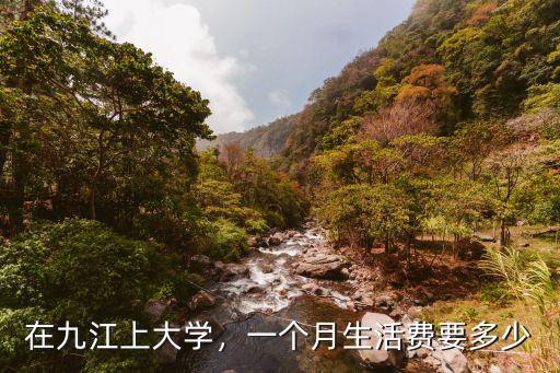 煙臺大學每個月多少生活費,一個月生活費要多少
