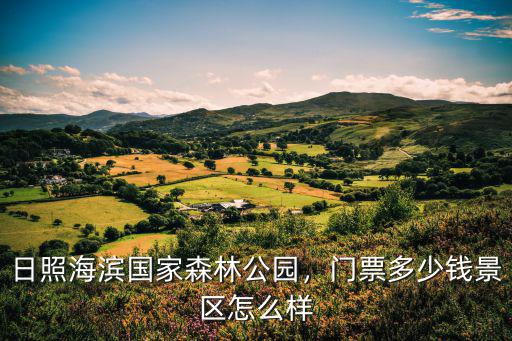 日照公交票價多少錢,其他市公交多少錢