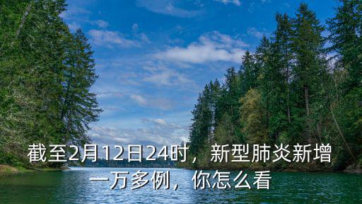 截至2月12日24時，新型肺炎新增一萬多例，你怎么看