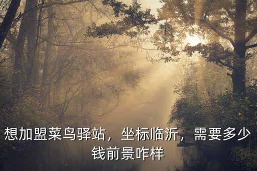 想加盟菜鳥驛站，坐標臨沂，需要多少錢前景咋樣