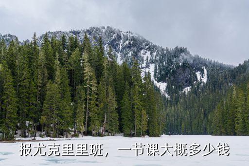 濟南尤克里里線下多少錢一節課,一節課大概多少錢
