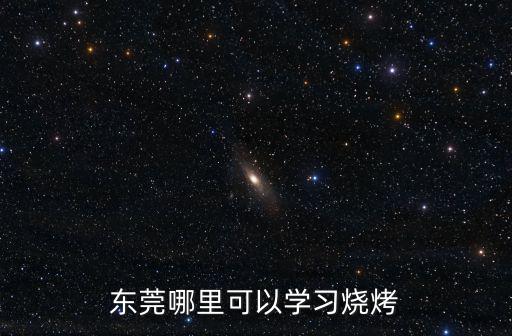 東莞魔方學(xué)習(xí)哪里學(xué),東莞哪里可以學(xué)習(xí)燒烤
