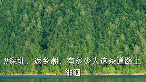 #深圳，返鄉潮，有多少人這條道路上徘徊