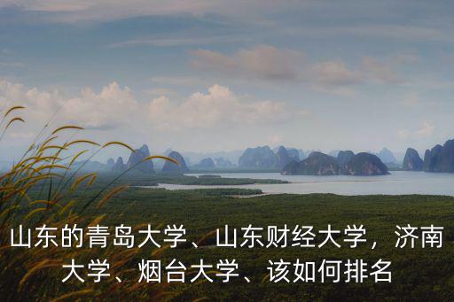 山東財(cái)經(jīng)大學(xué)的月餅多少錢一個,山東財(cái)經(jīng)大學(xué)