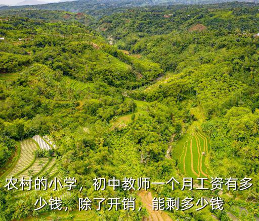 農村的小學，初中教師一個月工資有多少錢，除了開銷，能剩多少錢