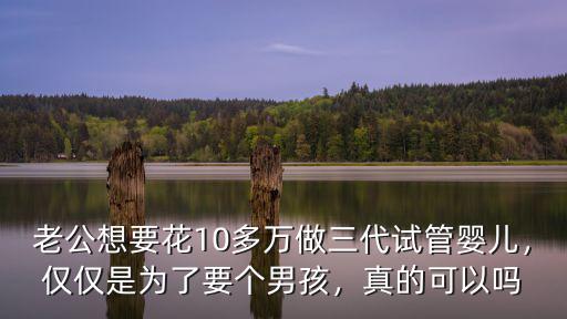 老公想要花10多萬做三代試管嬰兒，僅僅是為了要個男孩，真的可以嗎