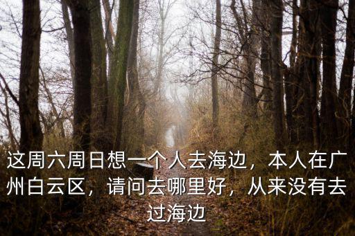這周六周日想一個人去海邊，本人在廣州白云區，請問去哪里好，從來沒有去過海邊