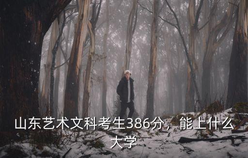 山東藝術(shù)文科考生386分，能上什么大學(xué)