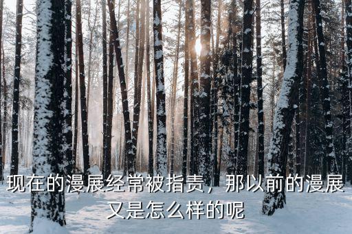 惠州的漫展怎么樣,現在的漫展經常被指責