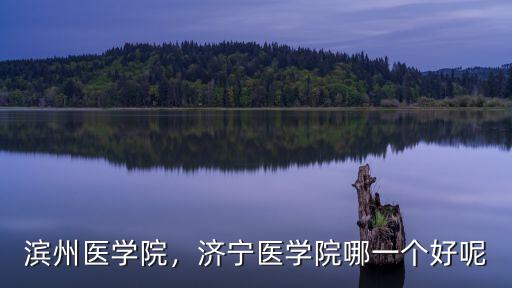 濟寧醫學院武書連榜多少名,山東濟寧醫學院怎么樣