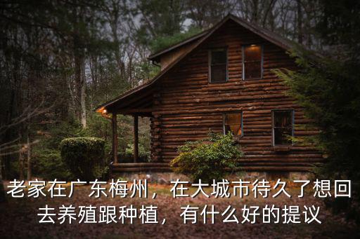 老家在廣東梅州，在大城市待久了想回去養殖跟種植，有什么好的提議
