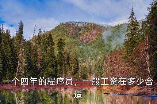 嘉興程序員工資一般多少錢,一般工資在多少合適