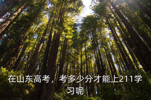 濟南市考多少名上211,考多少分才能上211學習呢