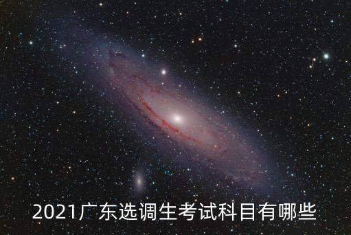 廣東選調(diào)生哪里考試,我想考廣東選調(diào)生
