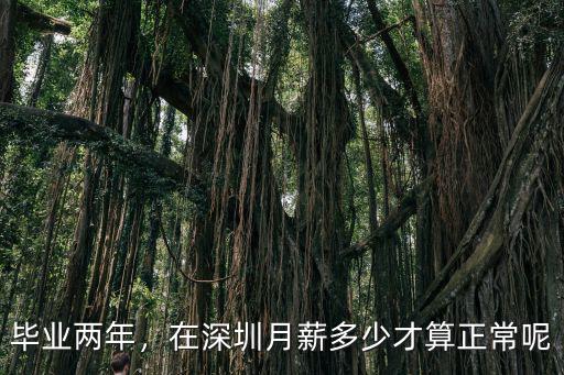 畢業兩年，在深圳月薪多少才算正常呢