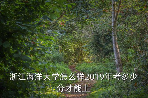浙江海洋大學空乘多少人,2019年考多少分才能上