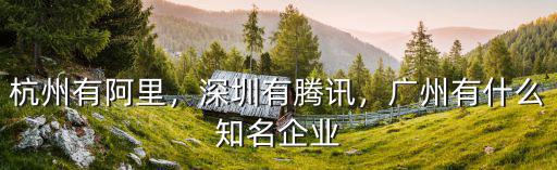 杭州有阿里，深圳有騰訊，廣州有什么知名企業(yè)