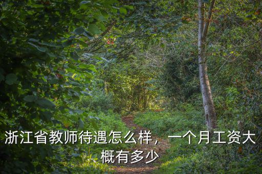 溫州文成老師一個月掙多少,一個月工資大概有多少