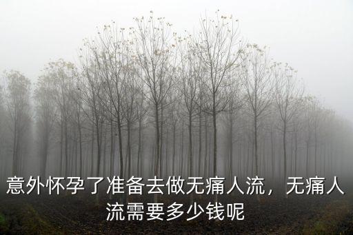 湖州無痛人流要多少錢,意外懷孕了準備去做無痛人流