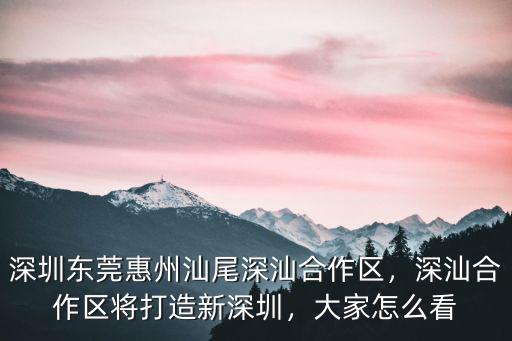 深圳深汕合作區法院在哪里,深汕合作區將打造新深圳