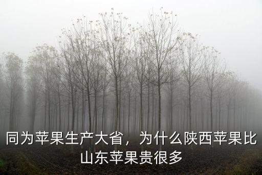 山東省蘋果種植面積多少畝,山東省聊城哪里有蘋果基地
