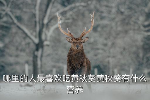佛山哪里的黃秋葵好,黃秋葵有什么營養