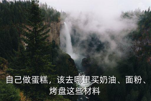 廣州哪里有的買淡奶油,什么牌子的淡奶油比較好