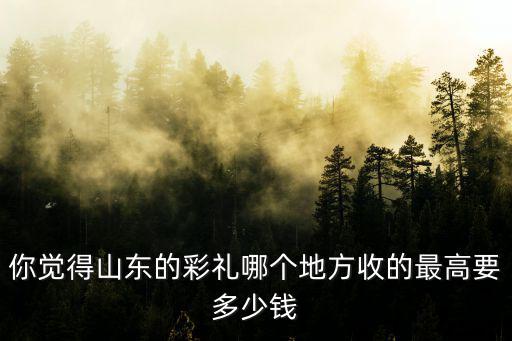 你覺得山東的彩禮哪個地方收的最高要多少錢