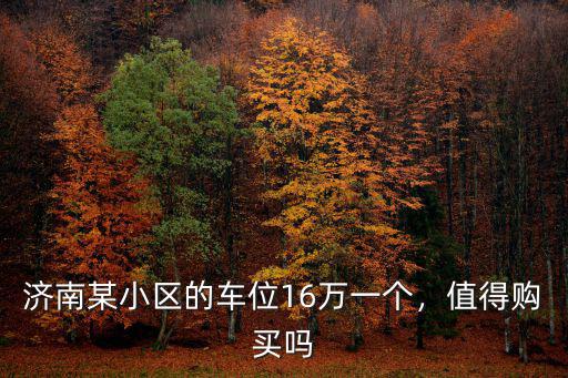 濟南某小區的車位16萬一個，值得購買嗎