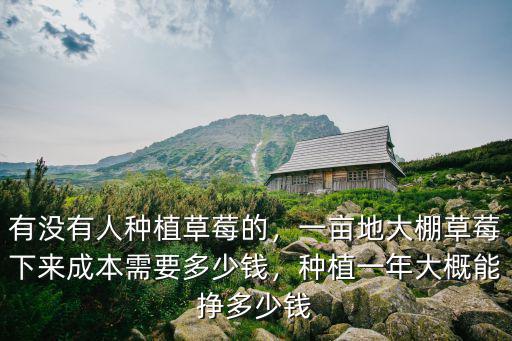 有沒有人種植草莓的，一畝地大棚草莓下來成本需要多少錢，種植一年大概能掙多少錢
