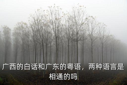 廣東與廣西的海拔相差多少,廣西的白話和廣東的粵語