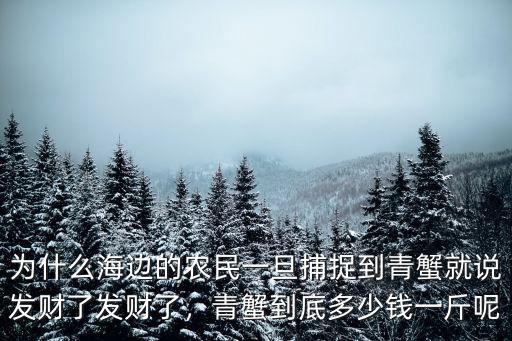 汕頭膏蟹價格今日多少錢一斤,青蟹一斤到底能買多少錢