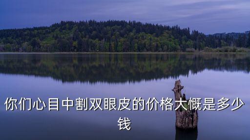 深圳整容鼻子和割雙眼皮多少錢(qián),做雙眼皮多少錢(qián)